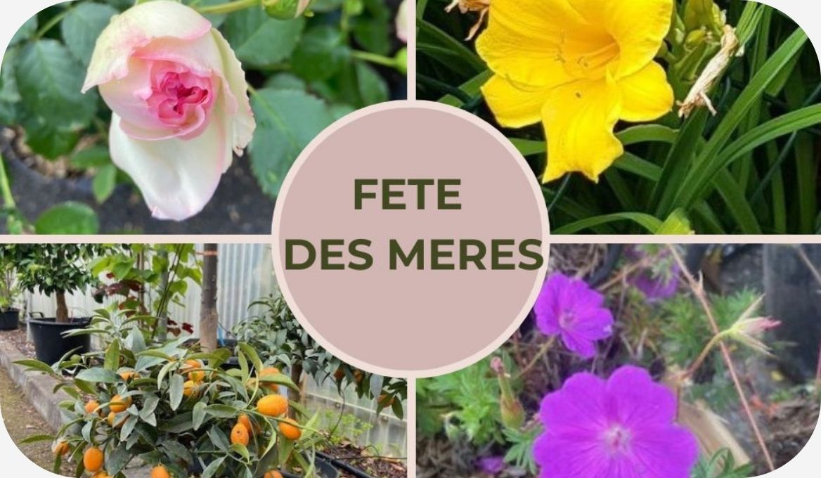 MAI 2025 FETE DES MERES